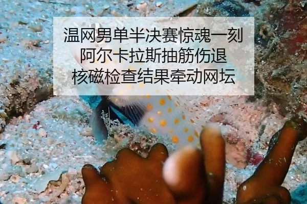 wen-wang-nan-dan-ban-jue-sai-jing-hun-yi-ke-a-er-ka-la-si-chou-jin-shang-tui-he-ci-jian-cha-jie-guo-qian-dong-wang-tan-2-582.jpg